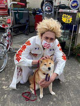 间宫祥太朗