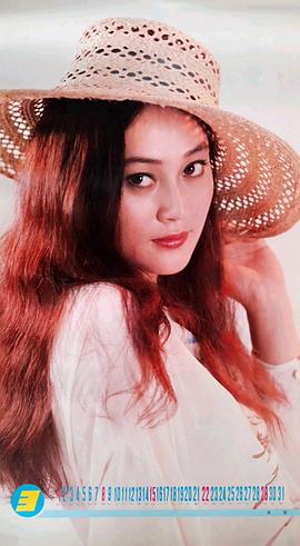 宋佳