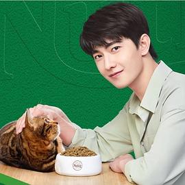 杨洋