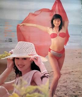 郑爽