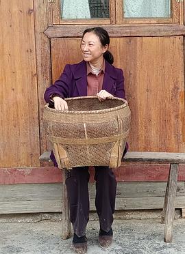 苏波