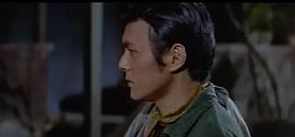 白鹰