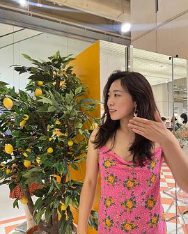 李美度