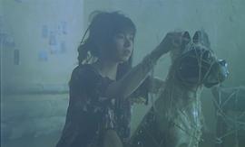 山口智子