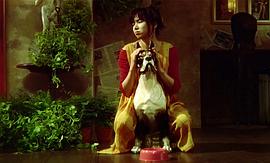 山口智子