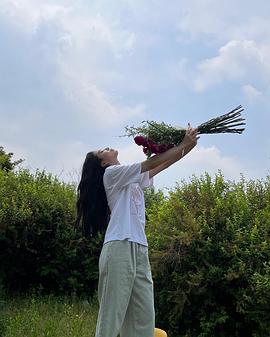 宋智午