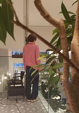 赤楚卫二