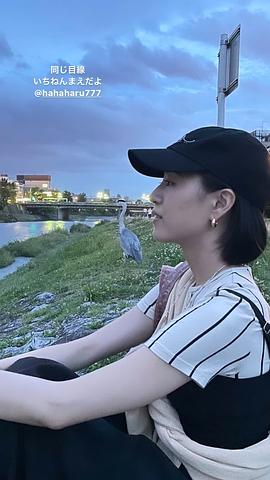 石桥静河