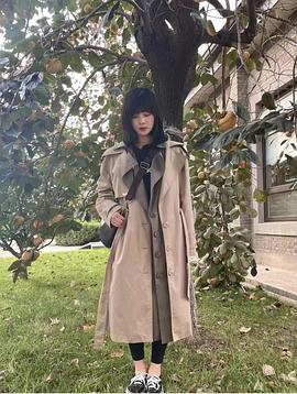 杨杏