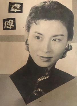 韦伟