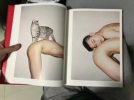 杨羽