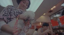 杨健惠