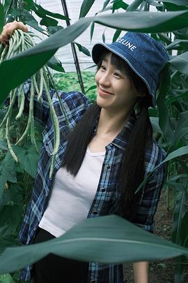 王智