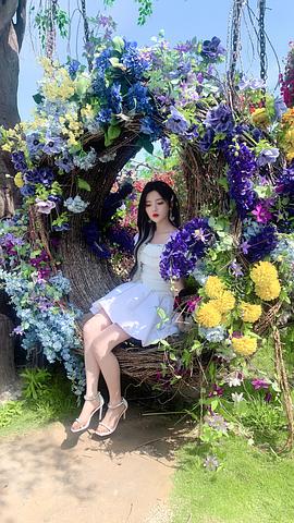 杨超越