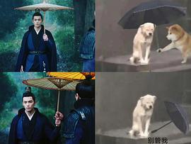 吴磊