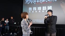 陈鲁豫