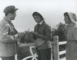 王丹凤