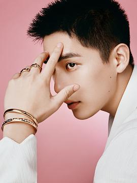 王安宇