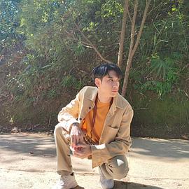 德尔·斯缇塔尔·迪拉帕维耶杰