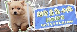 黄小九