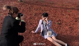 杨珺涵