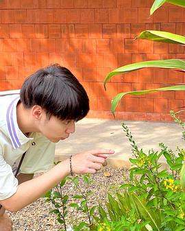 杨斯维