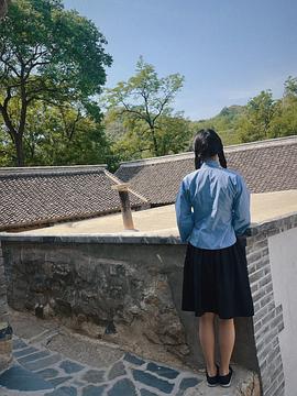 刘念