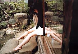 鸫