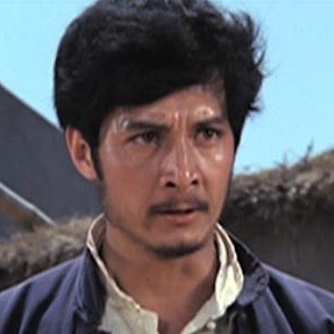 董力
