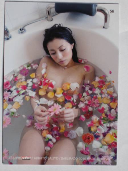 高桥智秋