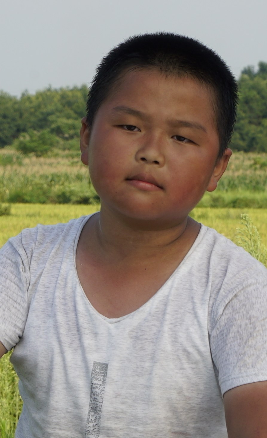 陈康