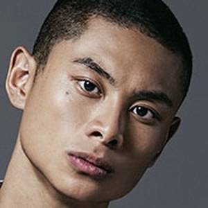 葵扬