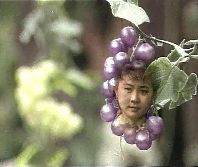 叶丽燕