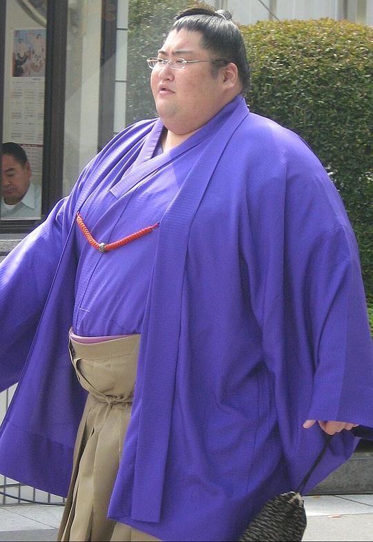 山本山龙太