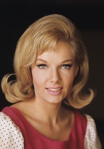 索迪斯·勃兰特