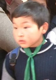 田风