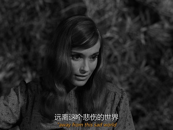 邦妮·比彻