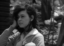 入江美树