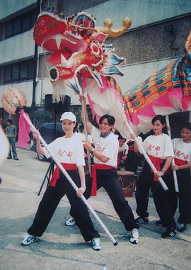 李若彤