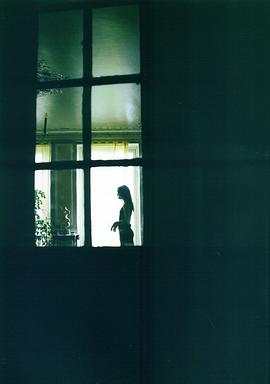 凡妮莎·帕拉迪丝