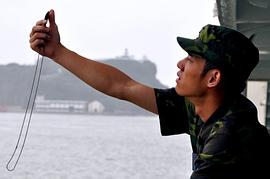 张书豪