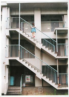 奥仲麻琴