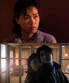 杨雪仪