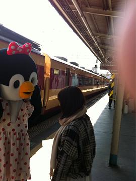 相泽舞