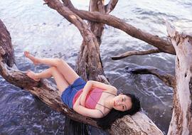 木村佳乃