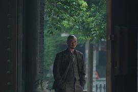 杨冬