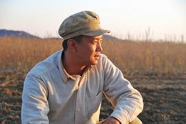 杨冬