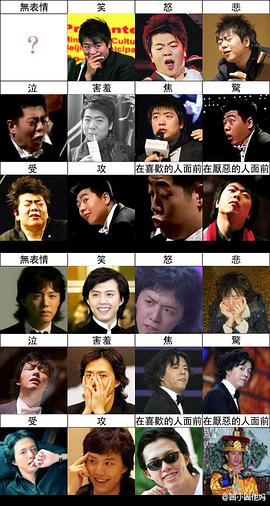 李云迪