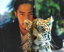 竹野内丰