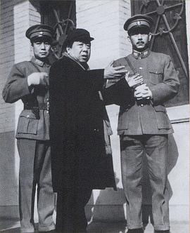 成荫